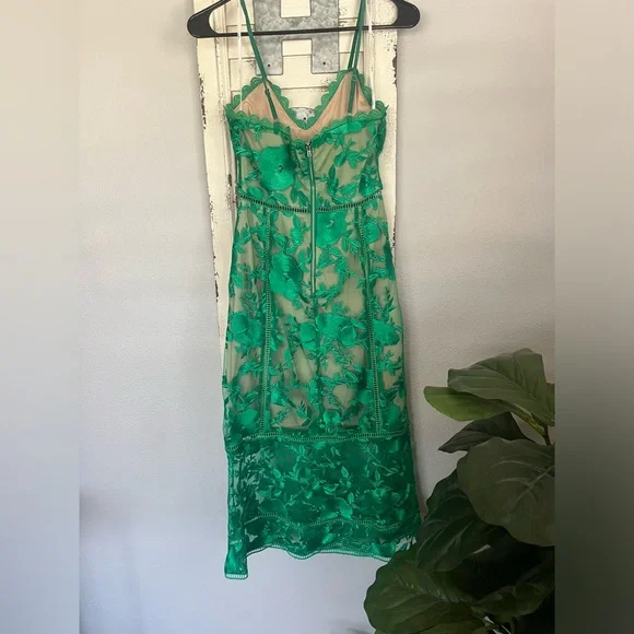 Lulu Deeply Cherish Green Lace Dress sz XS - Picture 5 of 11